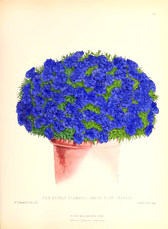 1873 Plate 80