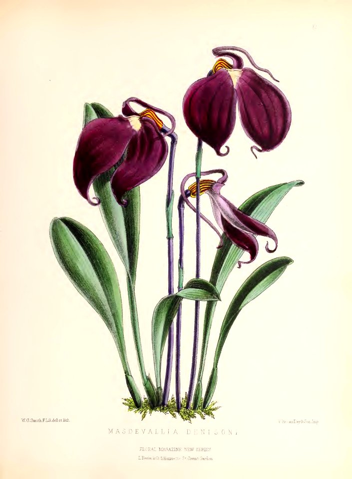 1873 Plate 79
