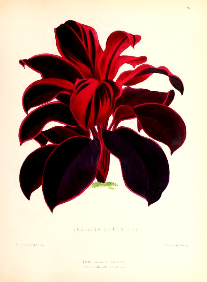 1873 Plate 74