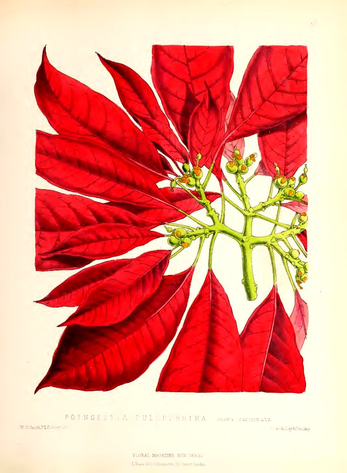 1873 Plate 68