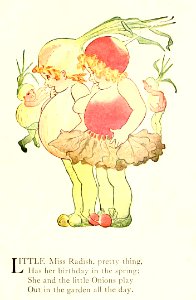 04 Radish and Onion