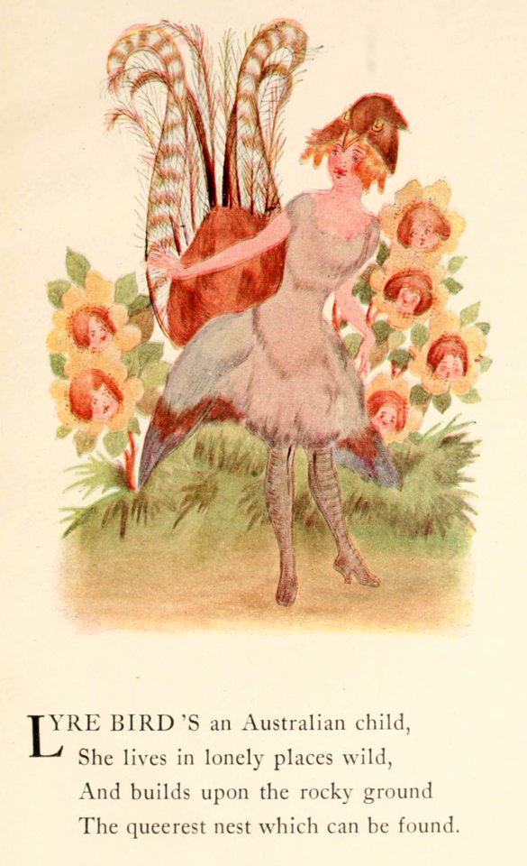 86 Lyre Bird