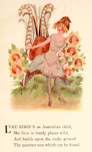 86 Lyre Bird