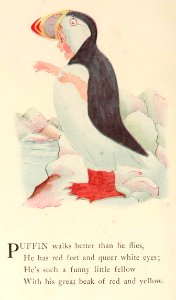 85 Puffin
