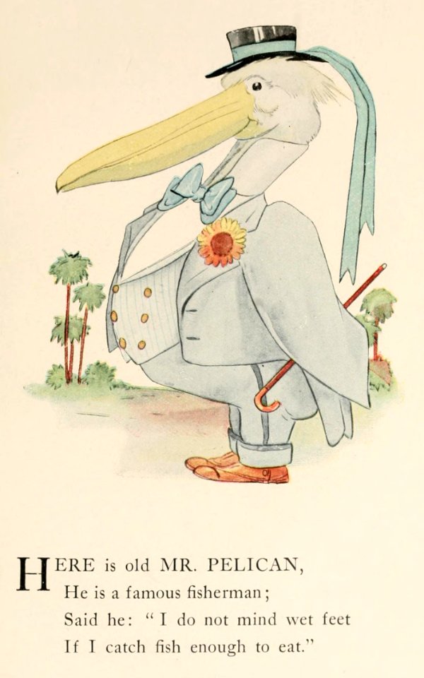 84 Pelican
