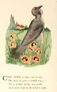 79 Cowbird