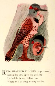 77 Flicker