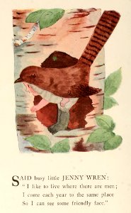 75 Wren