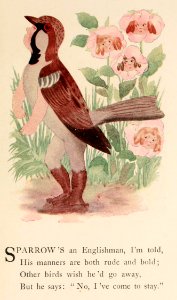 62 Sparrow