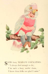 59 Cockatoo