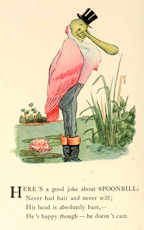 55 Spoonbill