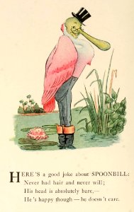 55 Spoonbill