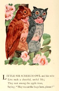 47 Screech Owl