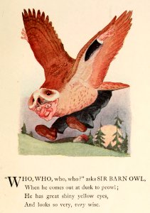 48 Barn Owl