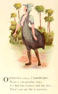 49 Cassowary