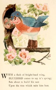 46 Bluebird