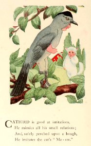 43 Catbird