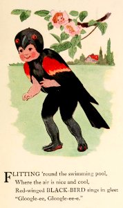 40 Redwing Blackbird