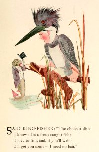 36 Kingfisher