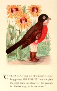 39 Robin
