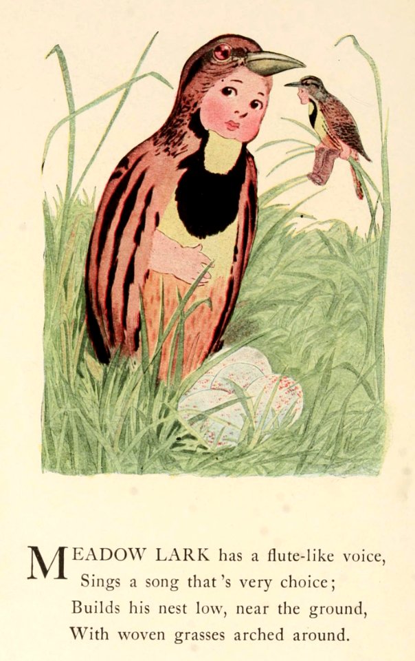 21 Meadowlark