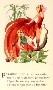 15 Paradise Bird