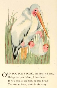 13 Stork