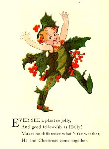 85 Holly