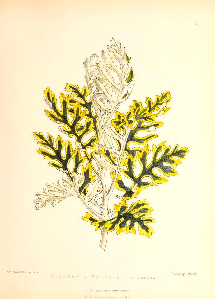 1873 Plate 52