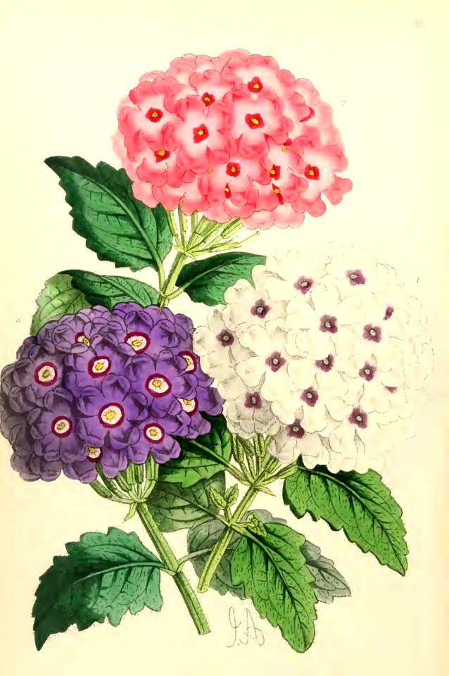 1868 Vol 7 Plate 416