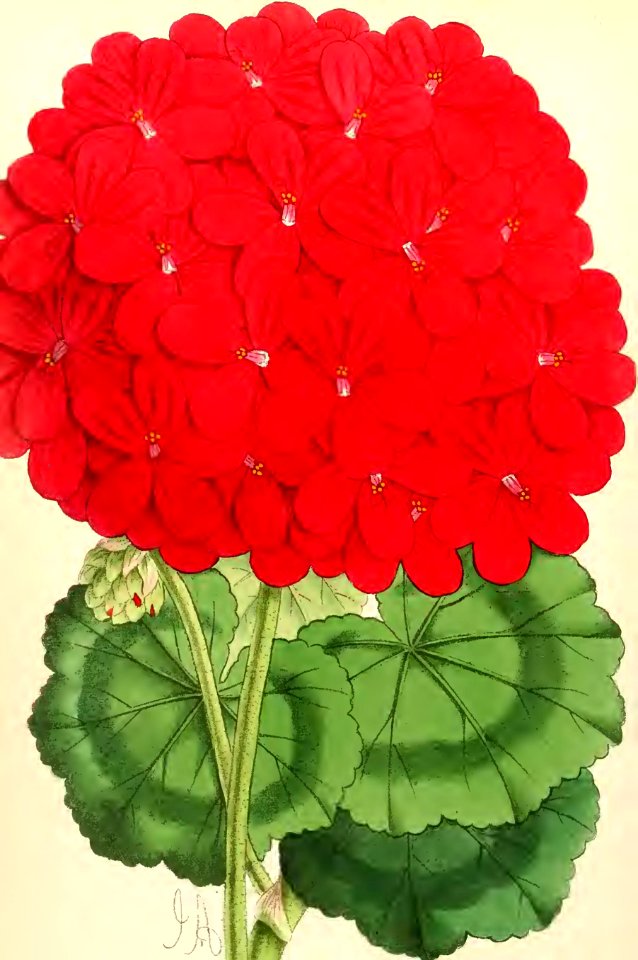 1868 Vol 7 Plate 410