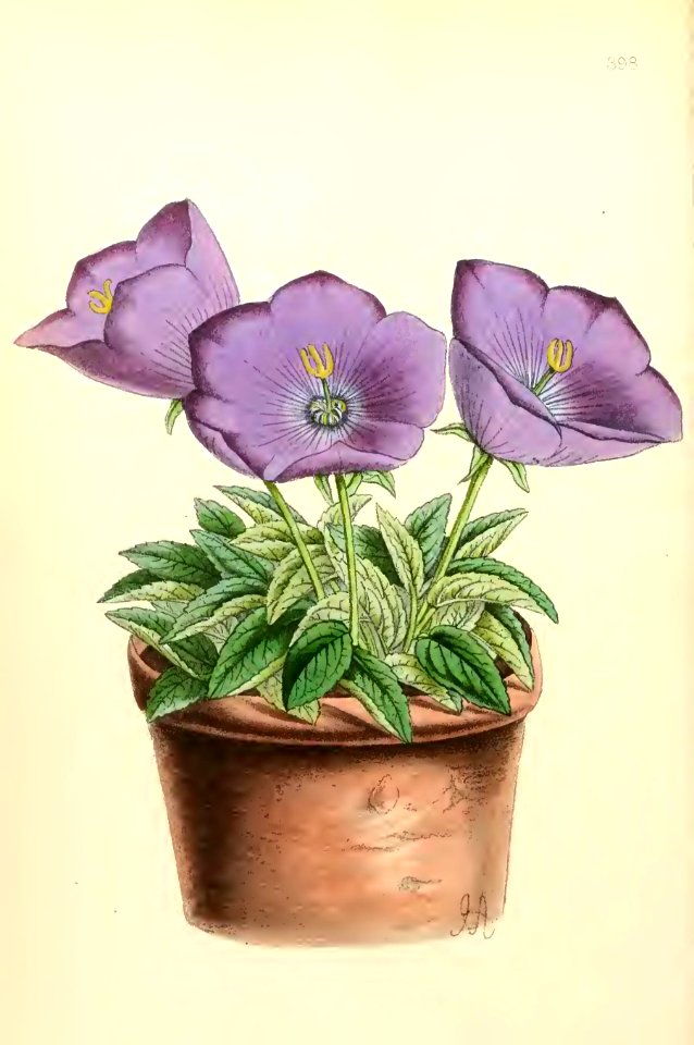 1868 Vol 7 Plate 398