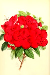 1868 Vol 7 Plate 395