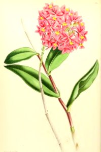 1868 Vol 7 Plate 390