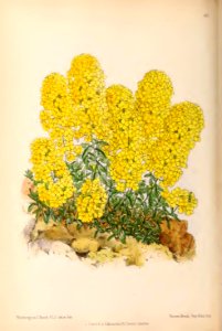 1870 Vol 9 Plate 491