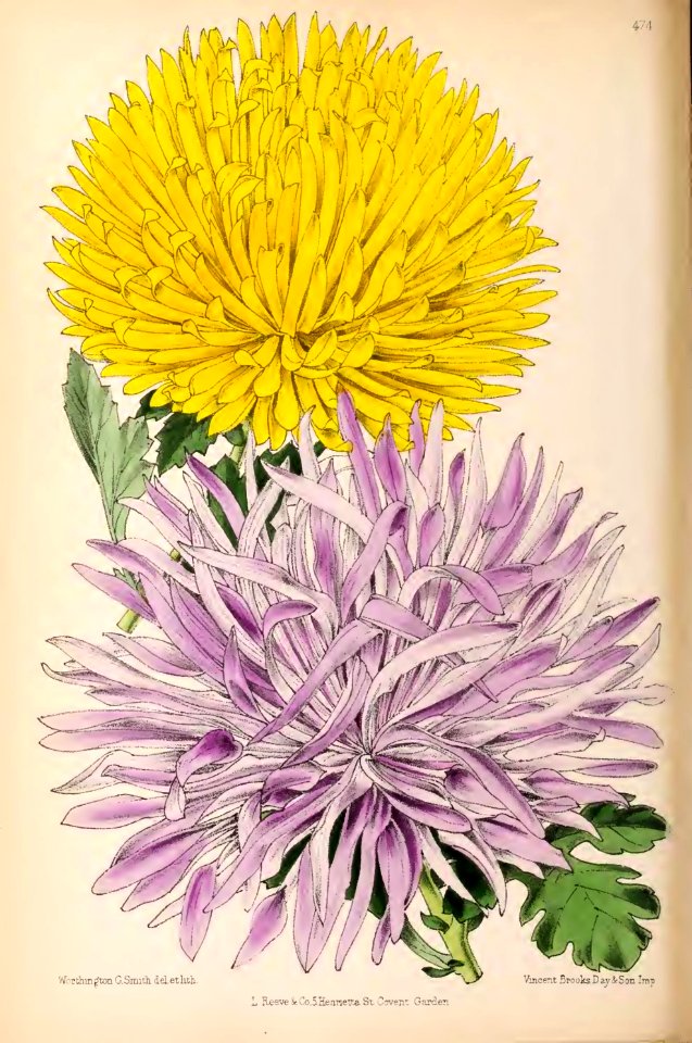1870 Vol 9 Plate 474