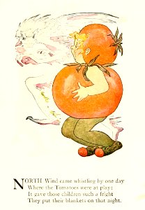 84 Tomato