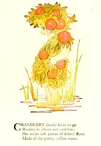 82 Cranberry