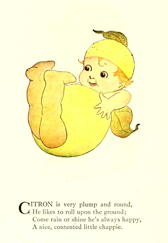 81 Citron