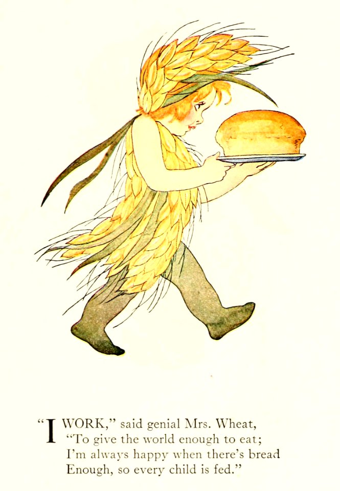 80 Wheat