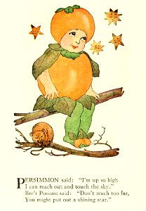 71 Persimmon