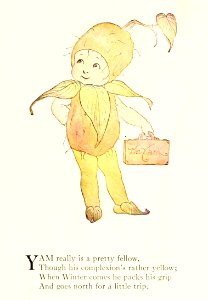 46 Yam