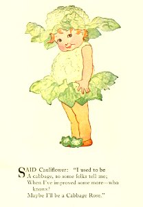 43 Cauliflower