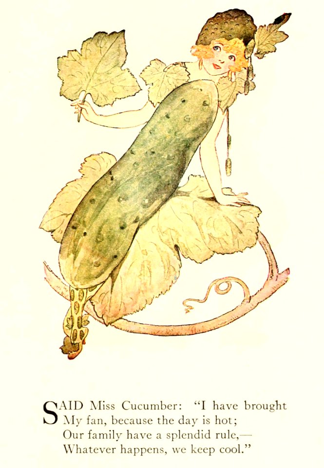 24 Cucumber