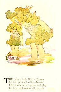 16 Water Cress