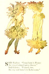 13 Endive and Celery