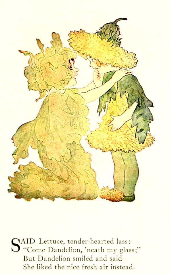 06 Lettuce and Dandelion