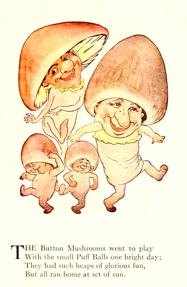 08 Button Mushrooms and Puff Balls
