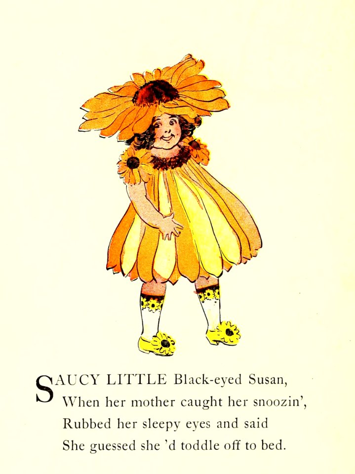 73 Black-Eyed Susan