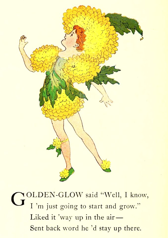 67 Golden Glow